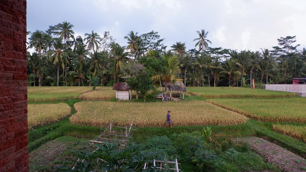 Hotel Wayan Garden Ubud Zewnętrze zdjęcie