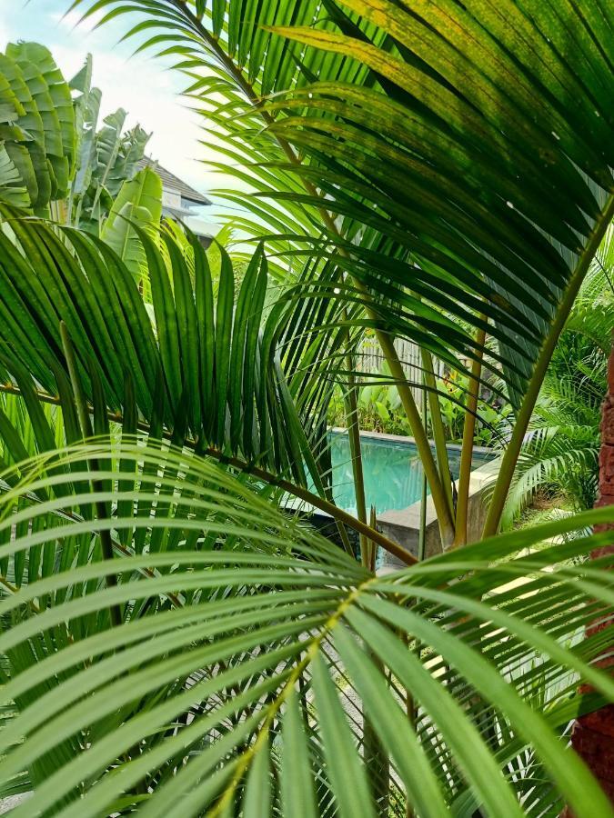 Hotel Wayan Garden Ubud Zewnętrze zdjęcie